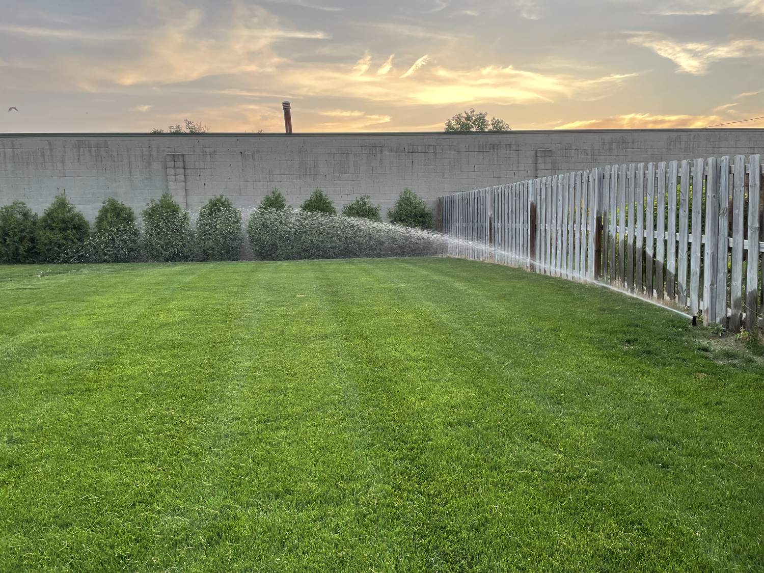 Sprinkler system running along a fence line at sunset over a healthy green lawn