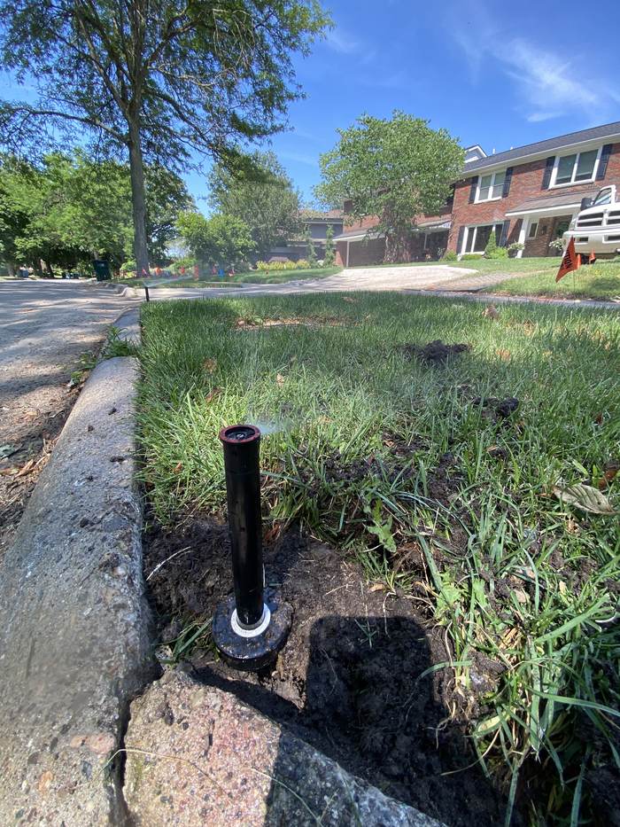 Newly set pop-up rotor head at the edge of a lawn