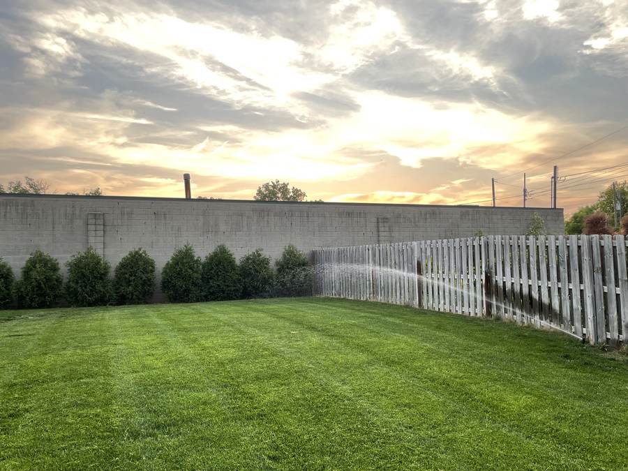 Striped green lawn with sprinklers running at sunset